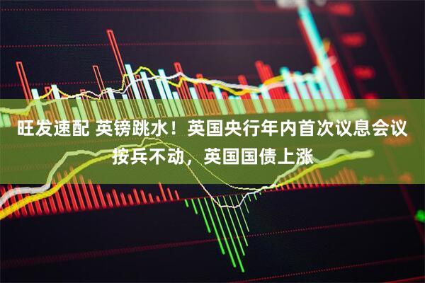 旺发速配 英镑跳水！英国央行年内首次议息会议按兵不动，英国国债上涨
